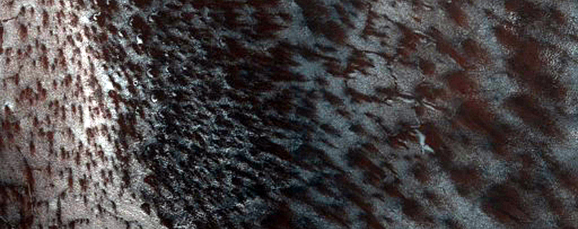 USGS Dune Database Entry Number 1544-786
