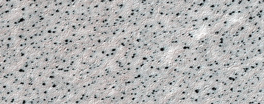 Fans in Clusters
