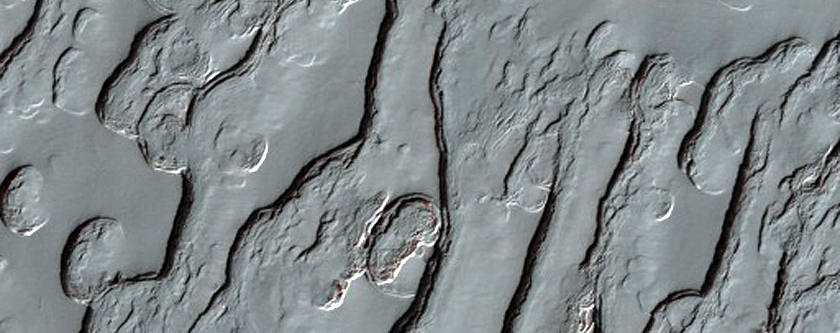 South Polar Cap
