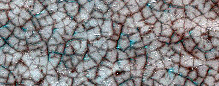 Bright and Dark Seasonal Fans on Patterned Ground

