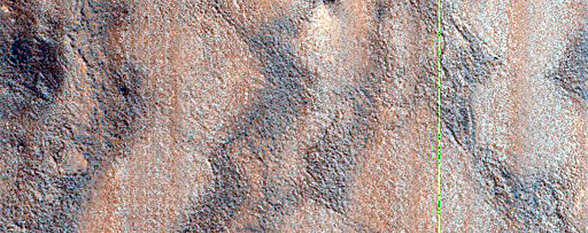 Patchy Network Near Hrad Vallis
