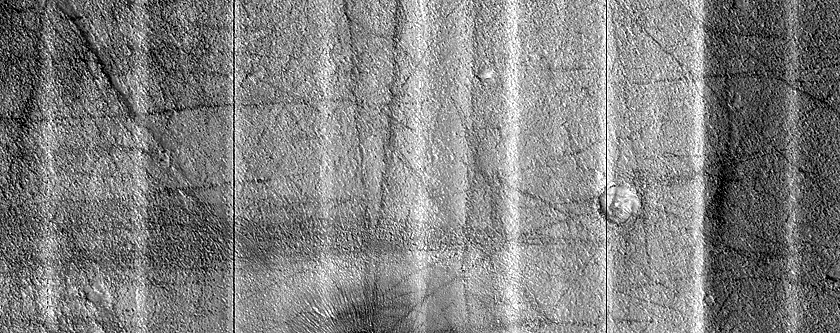 Arcadia Planitia Domes
