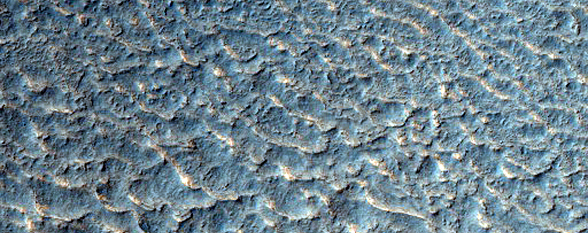 Gullies in Rossby Crater
