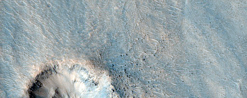 Very Fresh Small Crater

