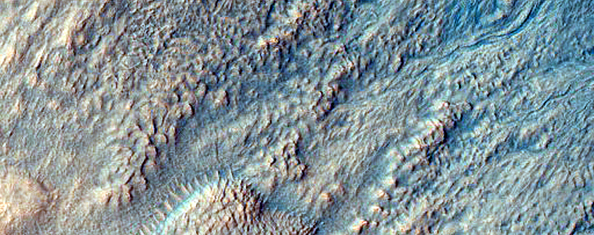Gully Monitoring

