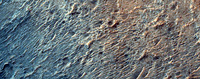 Possible Phyllosilicate-Rich Terrain in Small Crater in Terra Cimmeria
