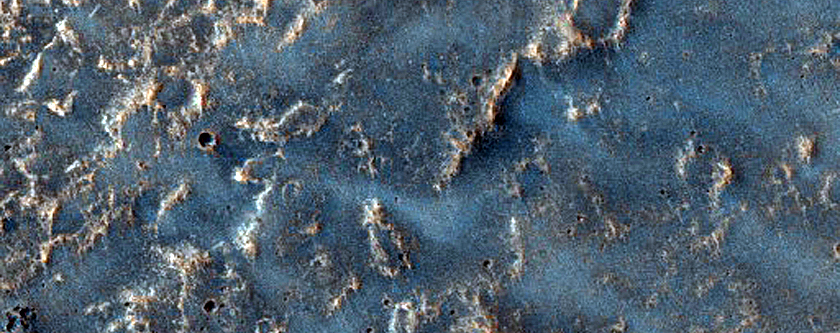 Dust Devil Track Monitoring
