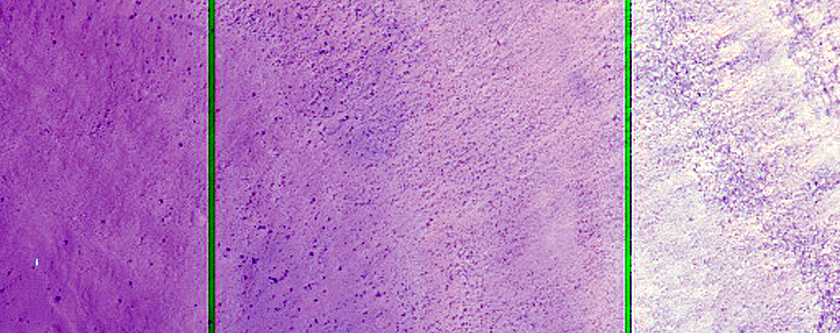 Well-Preserved Impact Crater
