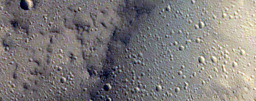 Dust Devil Track Monitoring
