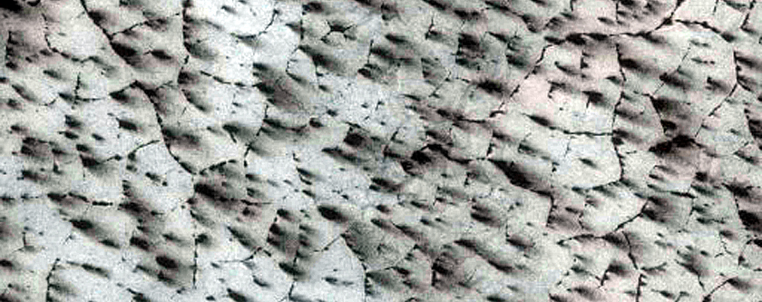 USGS Dune Database Entry Number 1681-778
