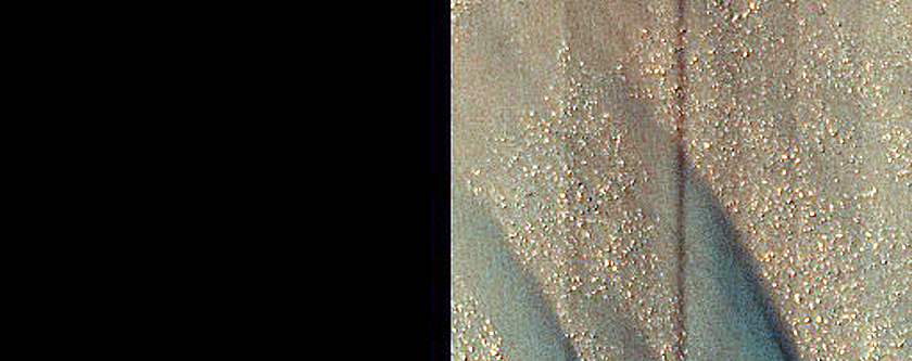 USGS Dune Database 1297-570
