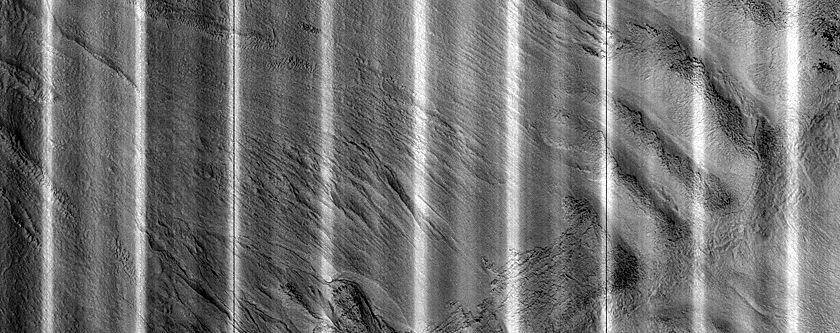Gully Monitoring
