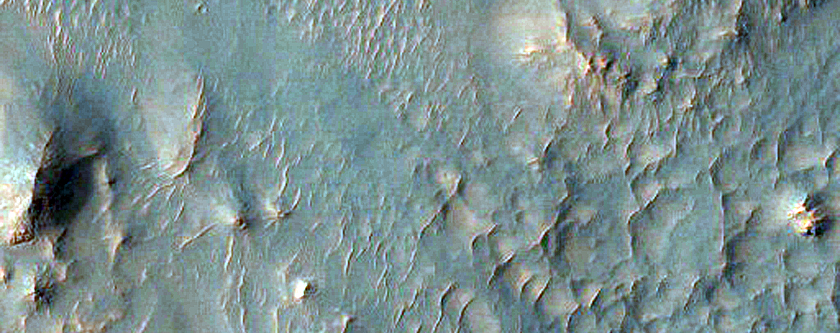 Bright Gully Deposits on Exterior of Hale Crater Rim
