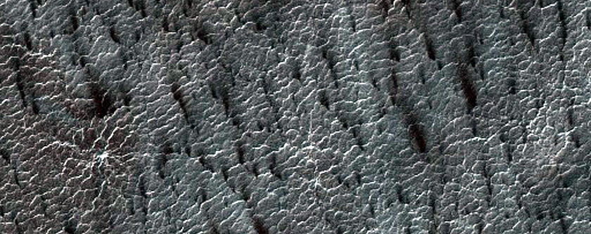 Classic Spider Terrain in Region Dubbed Manhattan
