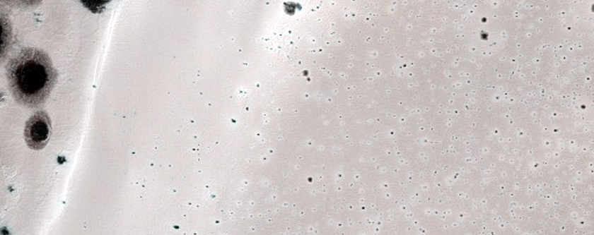 USGS Dune Database Entry Number 0945-768
