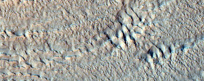 Well-Preserved Gullied Impact Crater
