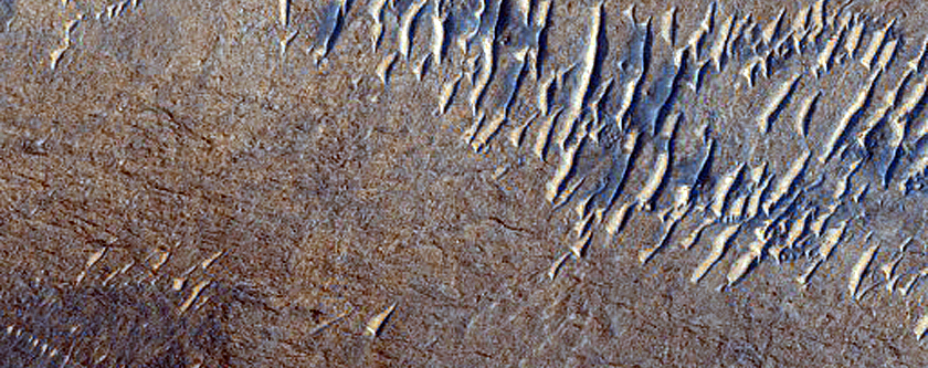Possible Phyllosilicate-Rich Terrain in Valles Marineris
