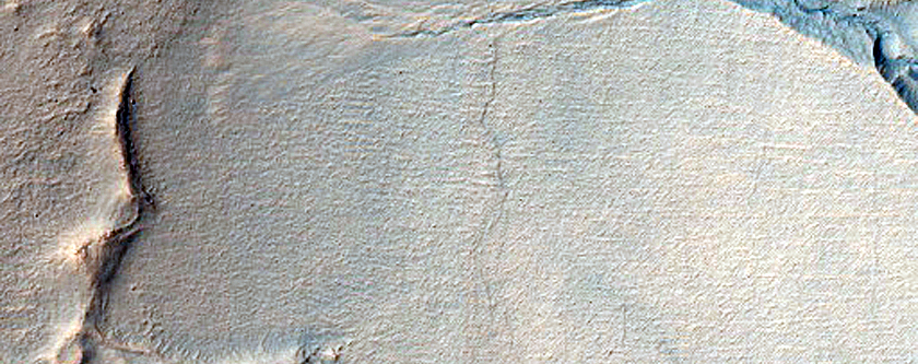 Gullies in Southern Mid-Latitude Crater
