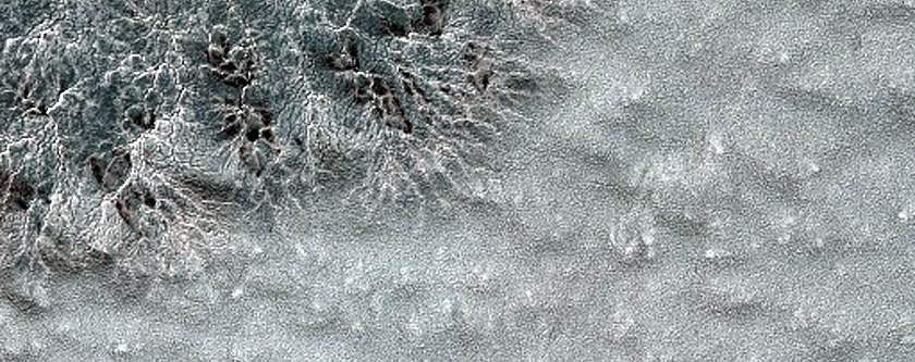 Monitor Seasonal Changes at South Polar Cracked and Gullied Site
