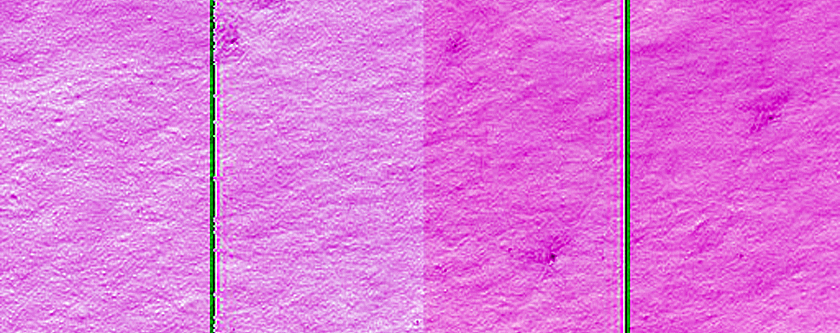 Seasonal Monitoring Near Pityusa Rupes
