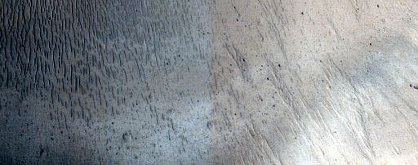 Looking for Gullies
