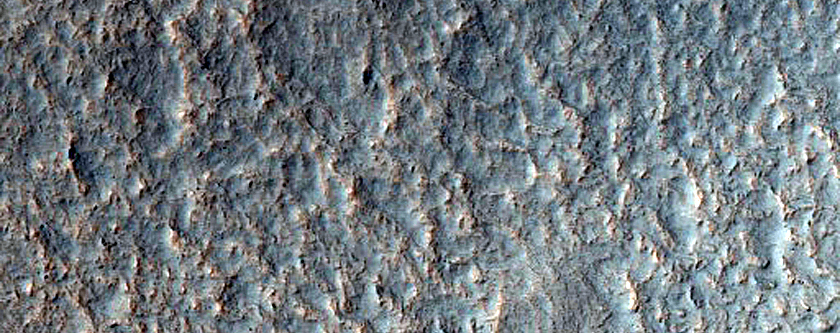 Gullies in South Mid-Latitude Crater
