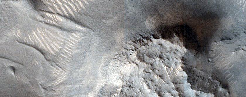 Ridges Near Nilosyrtis Mensae
