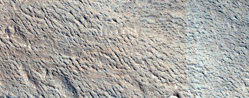 Monitoring Recent Impact Site
