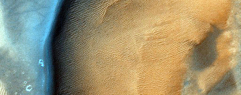 Dune with Seasonally-Persistent Light-Toned Features
