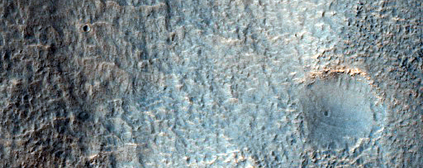 Channels in Newton Crater
