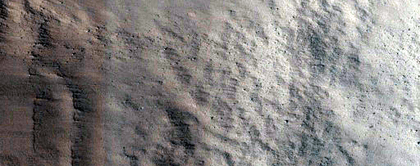 Crater in Nepenthes Region
