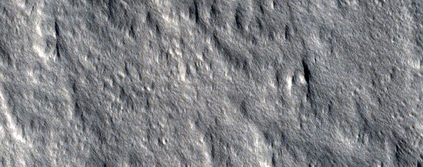 Olympus Mons
