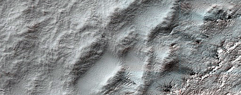 Southern High-Latitude Plains
