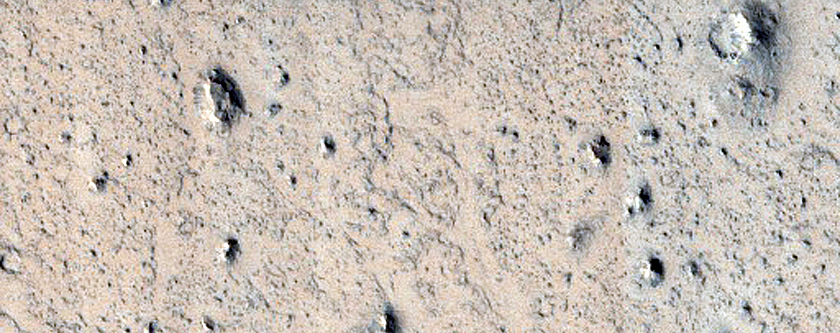Monitoring New Impact Site 

