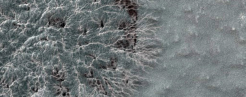 Monitor Seasonal Changes at South Polar Cracked and Gullied Site
