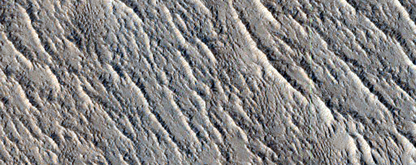 Lava Flows in Elysium Region
