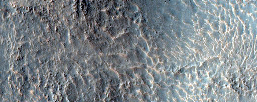 Gullies in Southern Mid-Latitude Crater
