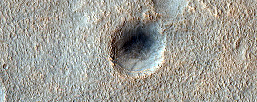 Cluster of Degraded Craters
