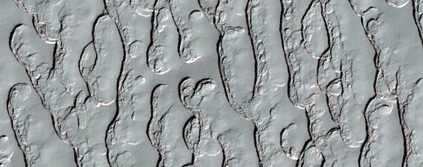 Thumbprint Terrain on South Polar Residual Cap
