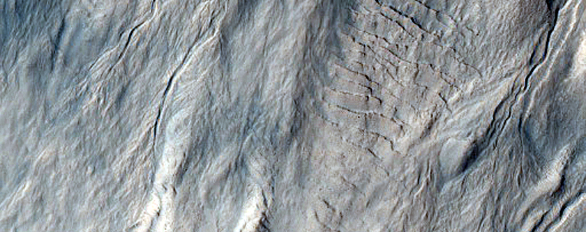 Gully Monitoring
