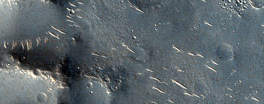 Ridges and Cones in Utopia Planitia
