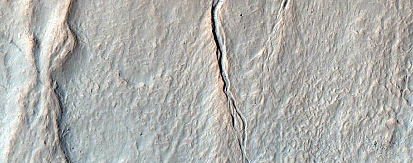 Gully Exposing Bright Material