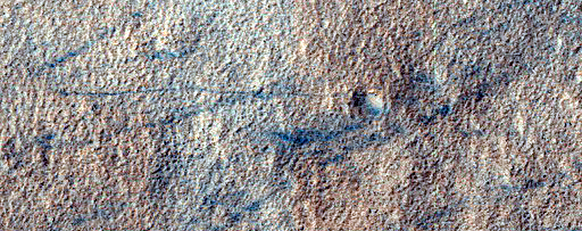 Gullies in Niger Vallis

