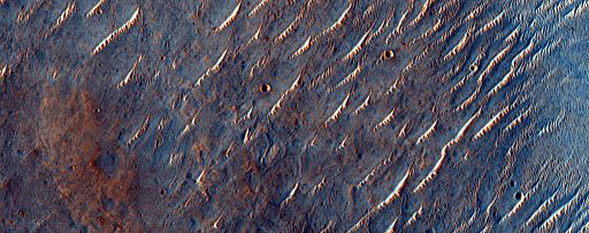 Possible Olivine-Rich Graben and Plains in Melas Fossae
