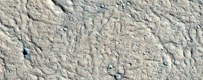 Kasei Valles Lava
