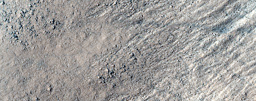 Gullies in Argyre Planitia
