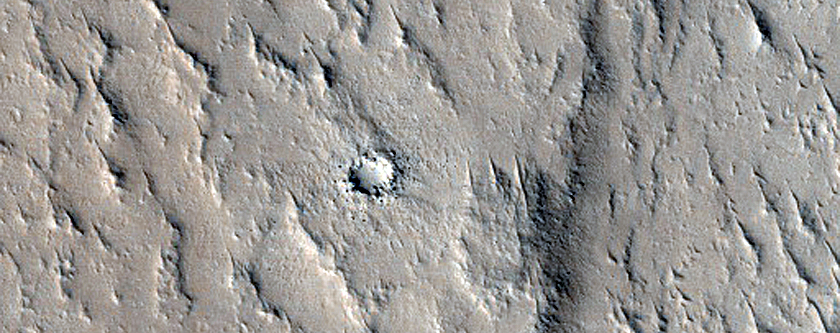 Wrinkle Ridge in Crater Floor Material
