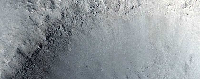 Western Elysium Planitia Flows
