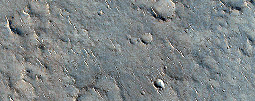 Pitted Cones in Isidis Planitia

