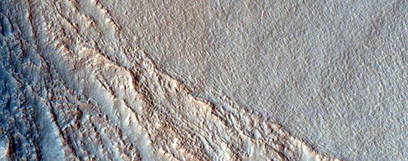 Gullies in Southern Mid-Latitude Crater

